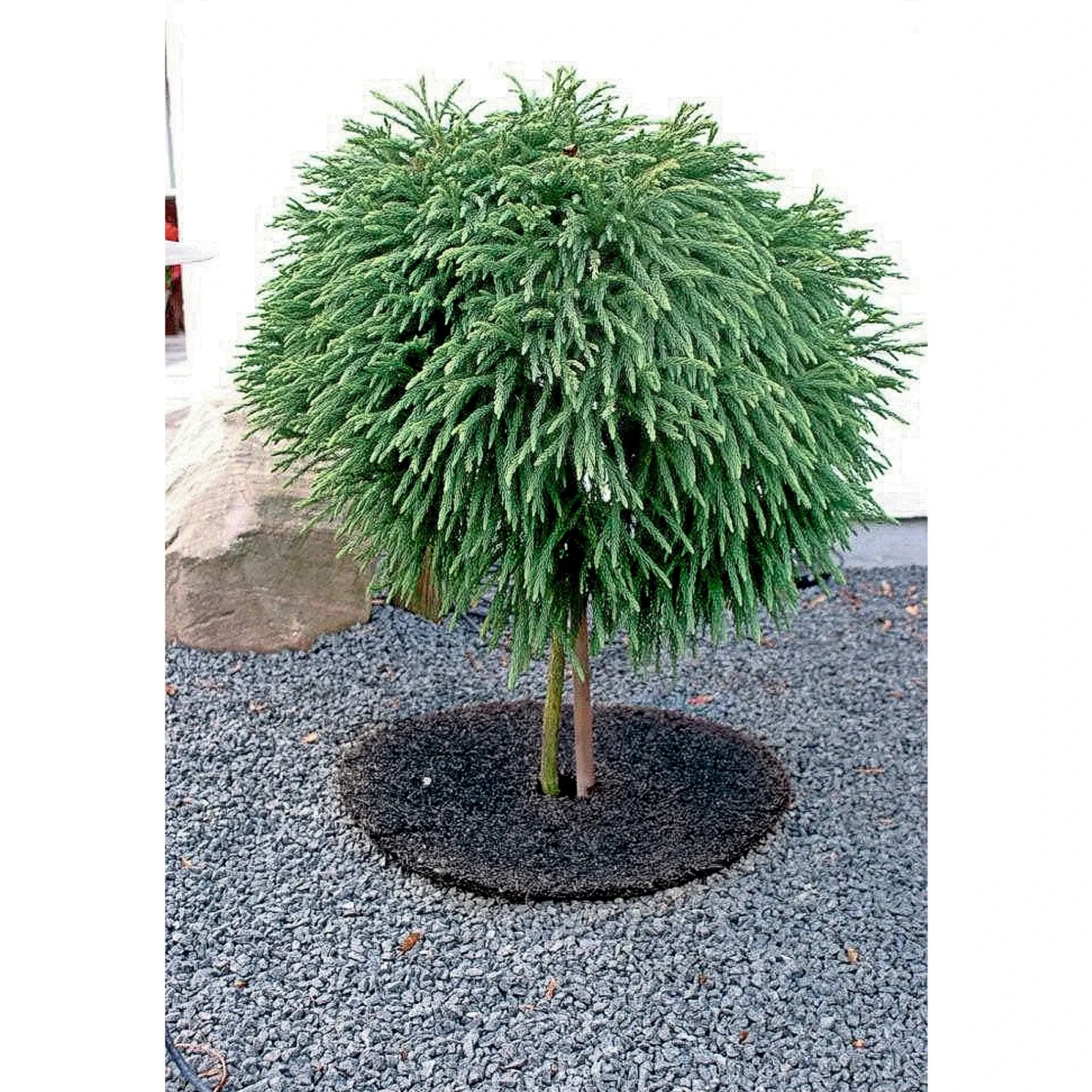 Clearance Garden Life GRÆSKANT Ø30XH7 CM