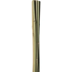 Hot HOME it GARDEN BAMBUSPINDE 60 CM