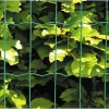 Best Hortus HEGN GRØN PLASTBELAGT 0.60 X 25 M