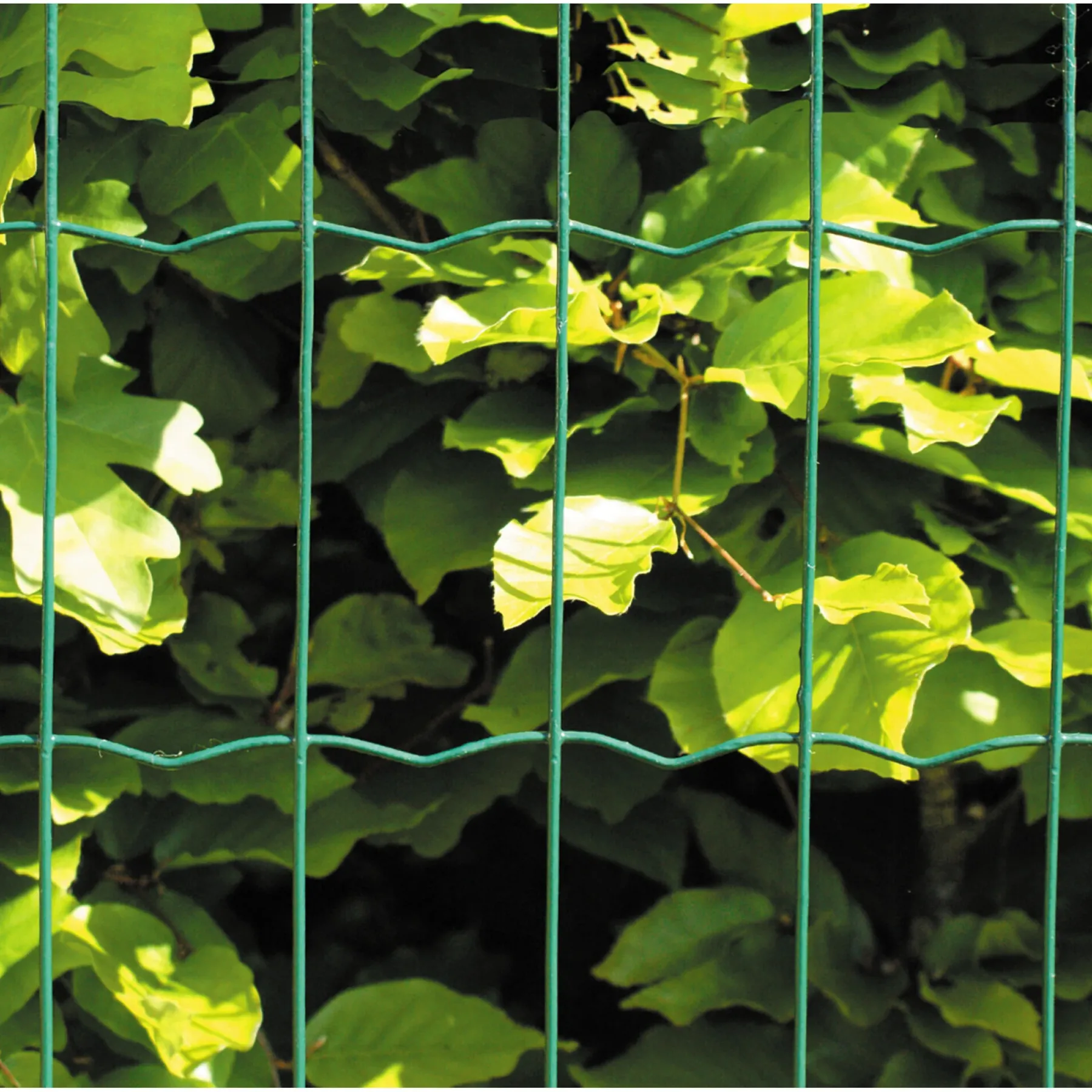 Best Hortus HEGN GRØN PLASTBELAGT 0.60 X 25 M