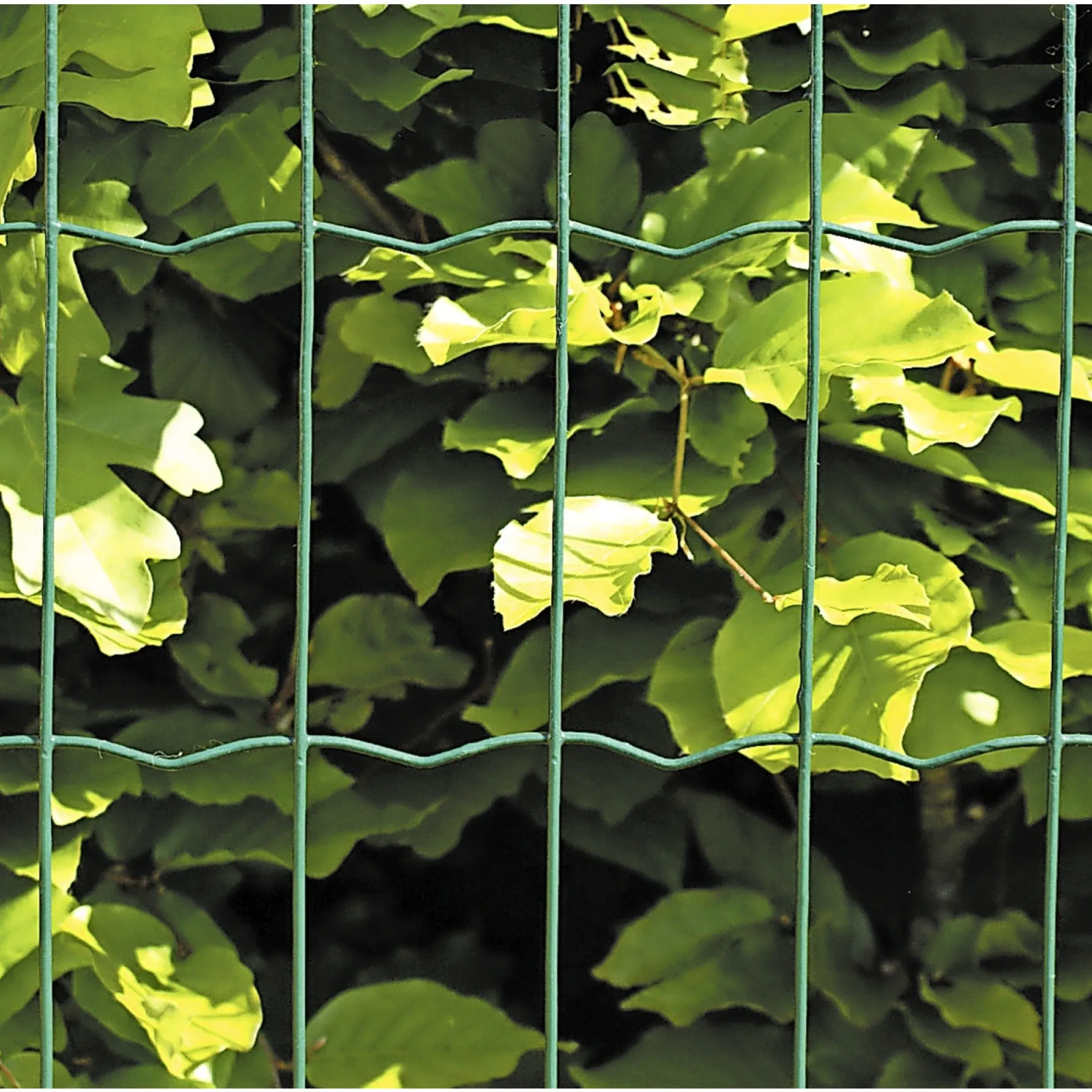 Best Hortus HEGN GRØN PLASTBELAGT 0.60 X 25 M