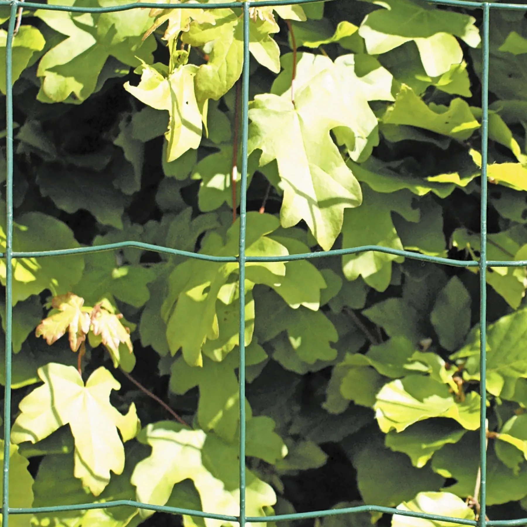 Clearance Hortus PVC FRI TRÅDHEGN GRØN PLASTBELAGT 1.10 X 20 M