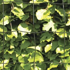 Outlet Hortus PVC FRI TRÅDHEGN SORT PLASTBELAGT 0.90 X 20 M