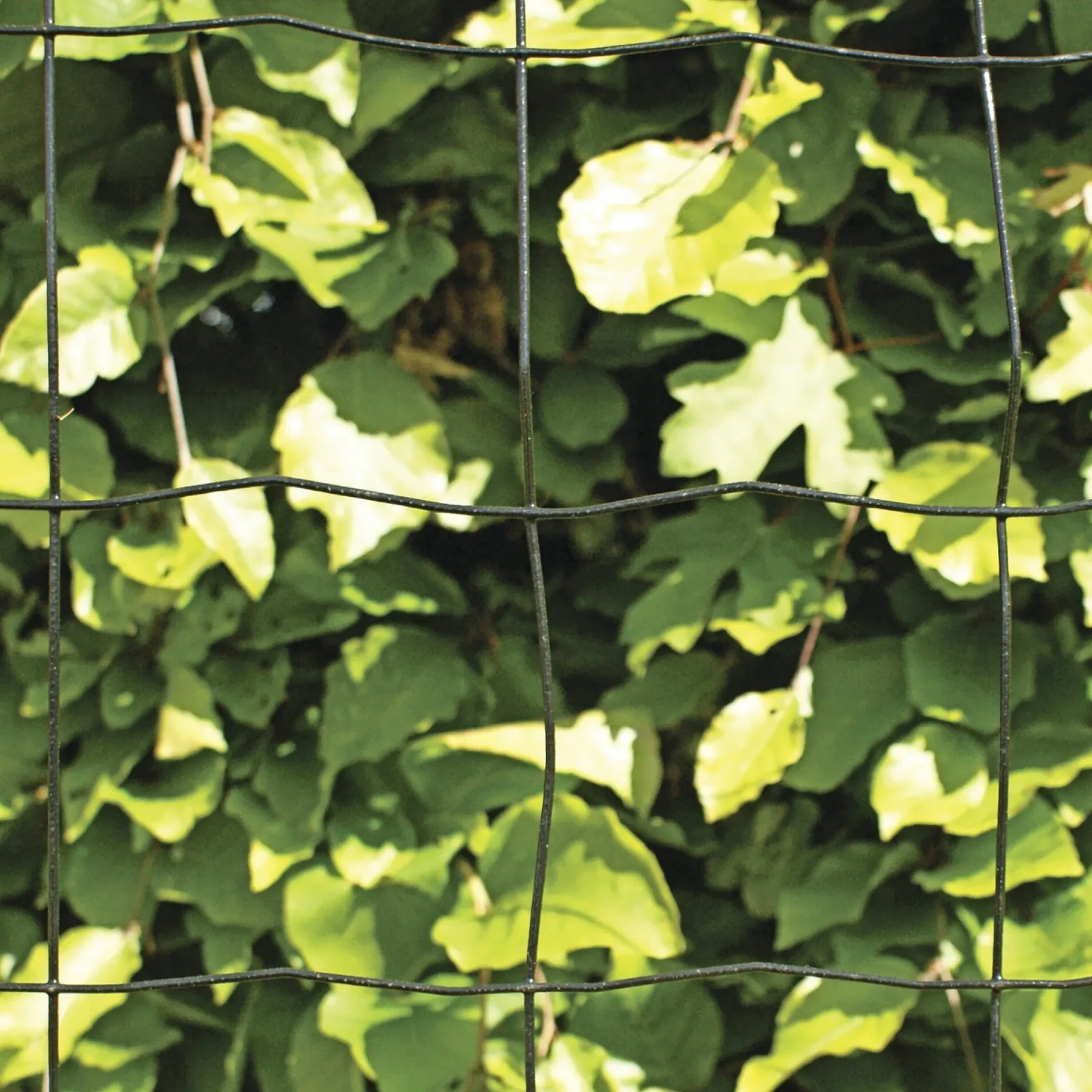 Outlet Hortus PVC FRI TRÅDHEGN SORT PLASTBELAGT 0.90 X 20 M