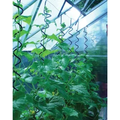 Hot Juliana PLANTESPIRAL