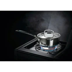 Hot Napoleon ROGUE 425 PLUS GASGRILL SORT