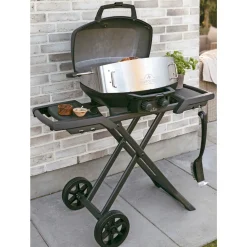 Sale Napoleon TRAVELQ PRO285 PHANTOM GASGRILL MAT SORT